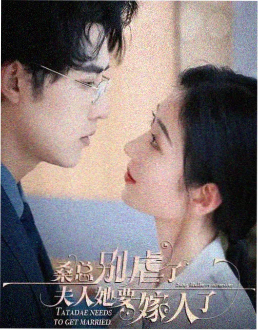 金牌影视 资讯 剧集口碑